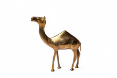 Brass Camel