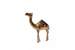 Brass Camel