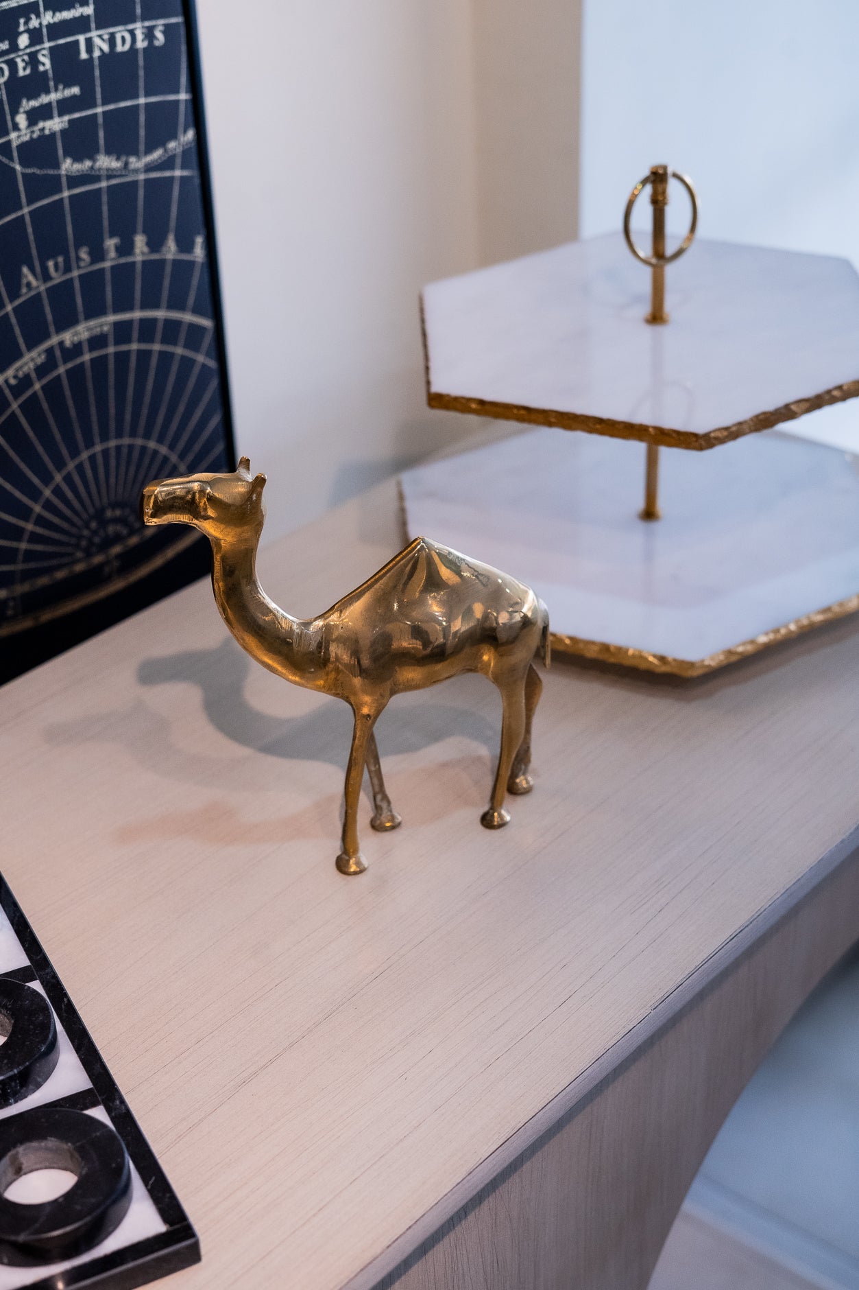 Camel